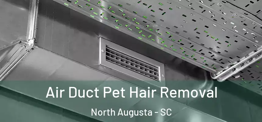 Air Duct Pet Hair Removal North Augusta - SC