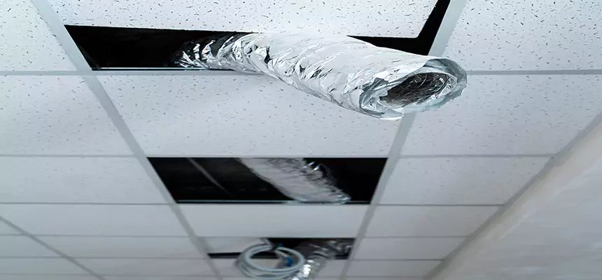 Our Air Duct Pet Hair Removal Services in North Augusta, SC