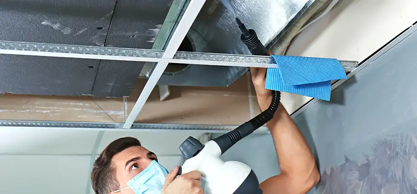 Our Air Duct Rodent Removal Services in North Augusta, SC
