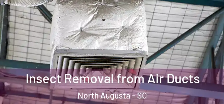  Insect Removal from Air Ducts North Augusta - SC