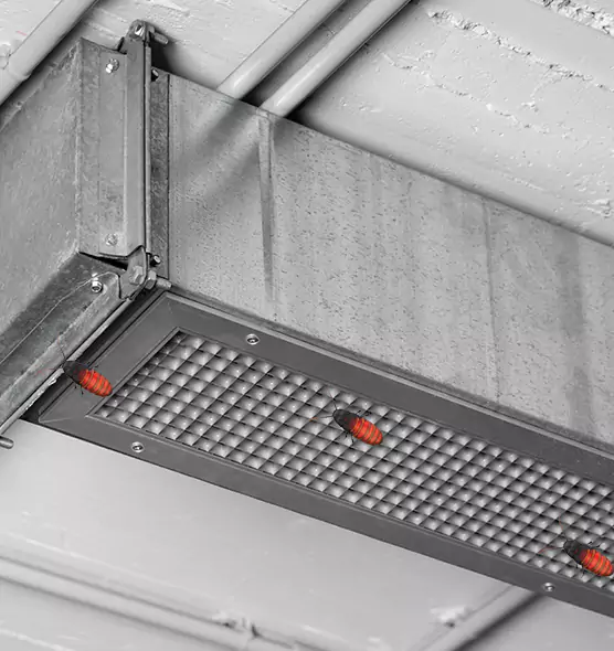 About Air Duct Cockroach Removal in North Augusta, SC