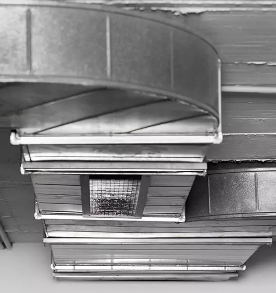 Professional Air Duct Pest Removal in North Augusta, SC