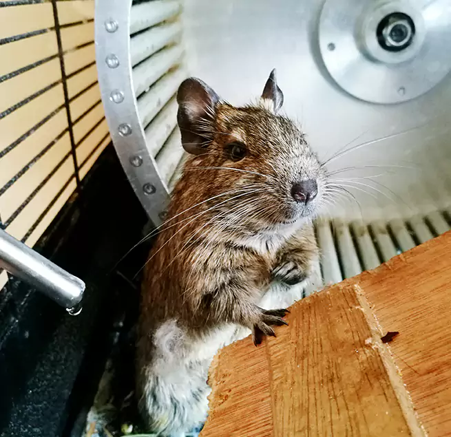 Why Homeowners & Businesses Trust Us North Augusta, SC?