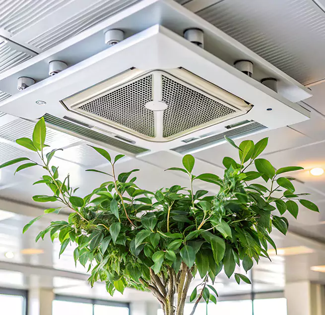 Why Homeowners & Businesses Trust Us in North Augusta, SC?