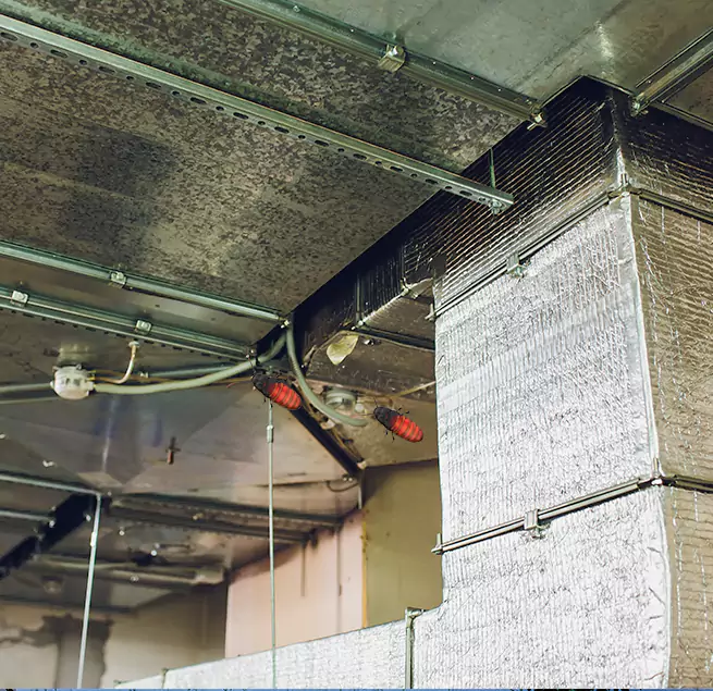 Why Homeowners & Businesses Trust Us North Augusta, SC?