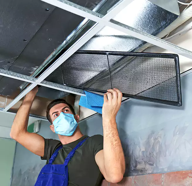 Why Homeowners Businesses Trust Us in North Augusta, SC